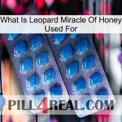 What Is Leopard Miracle Of Honey Used For viagra2